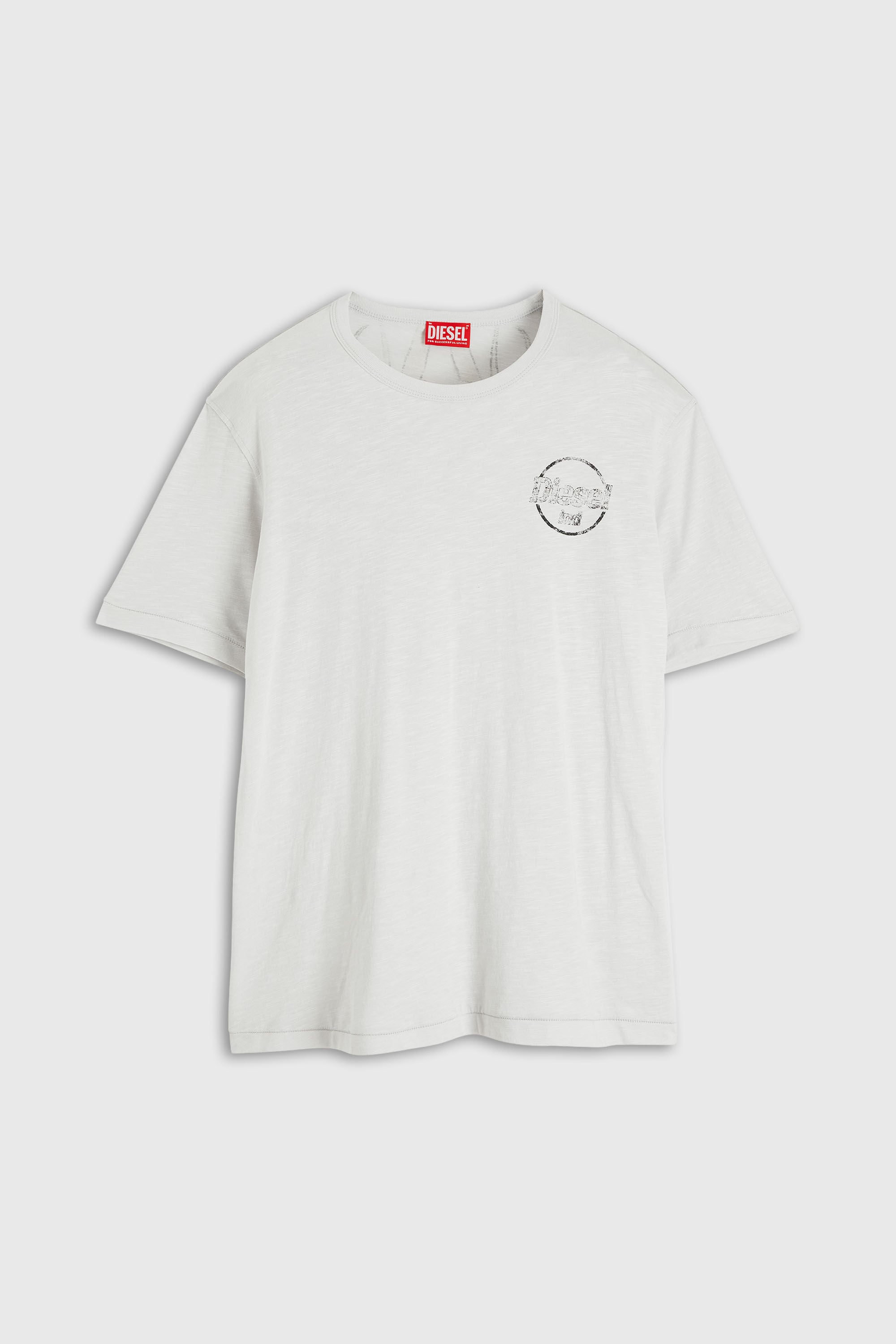Diesel - T-ADJUST-B11, Man's T-shirt in slub jersey with crack print in null - 4