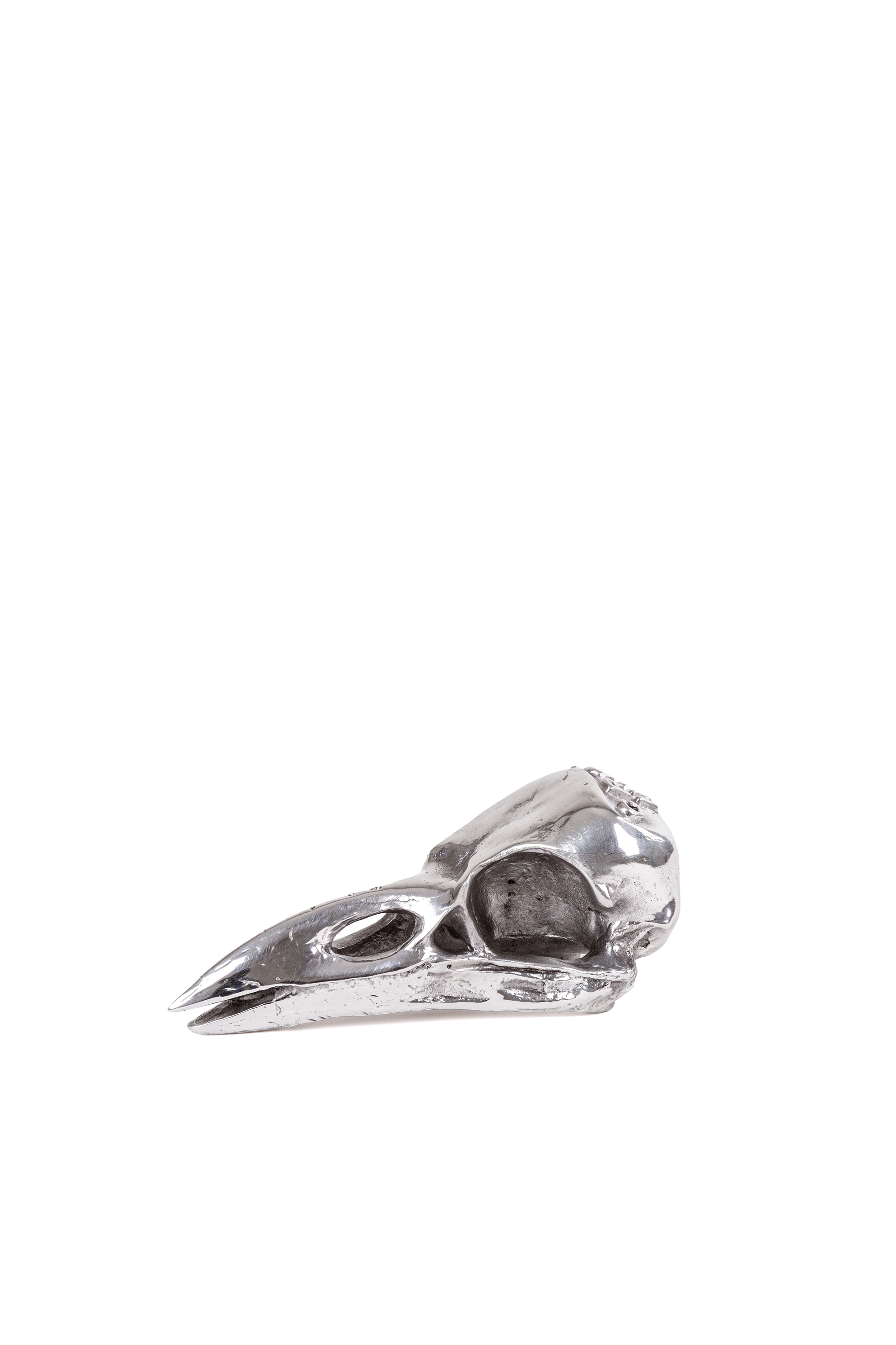 Diesel - 10895 WUNDERKAMMER, Unisex's "Crow Up" Wunderkammer Bird Skull in Silver - 1