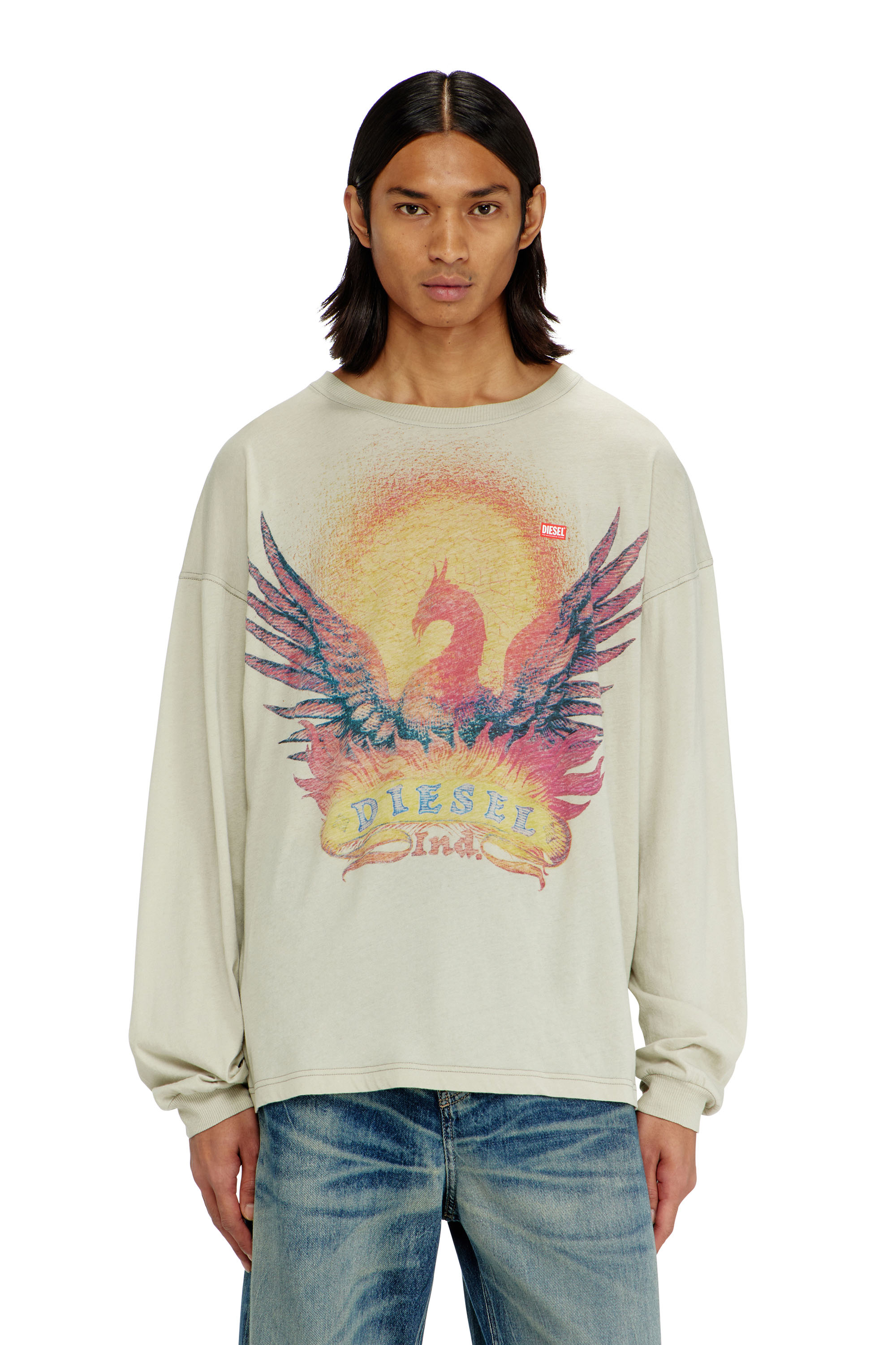 Diesel - T-BOXT-LS-AA1, Man's Long sleeve T-shirt with Phoenix graphic in Beige - 3
