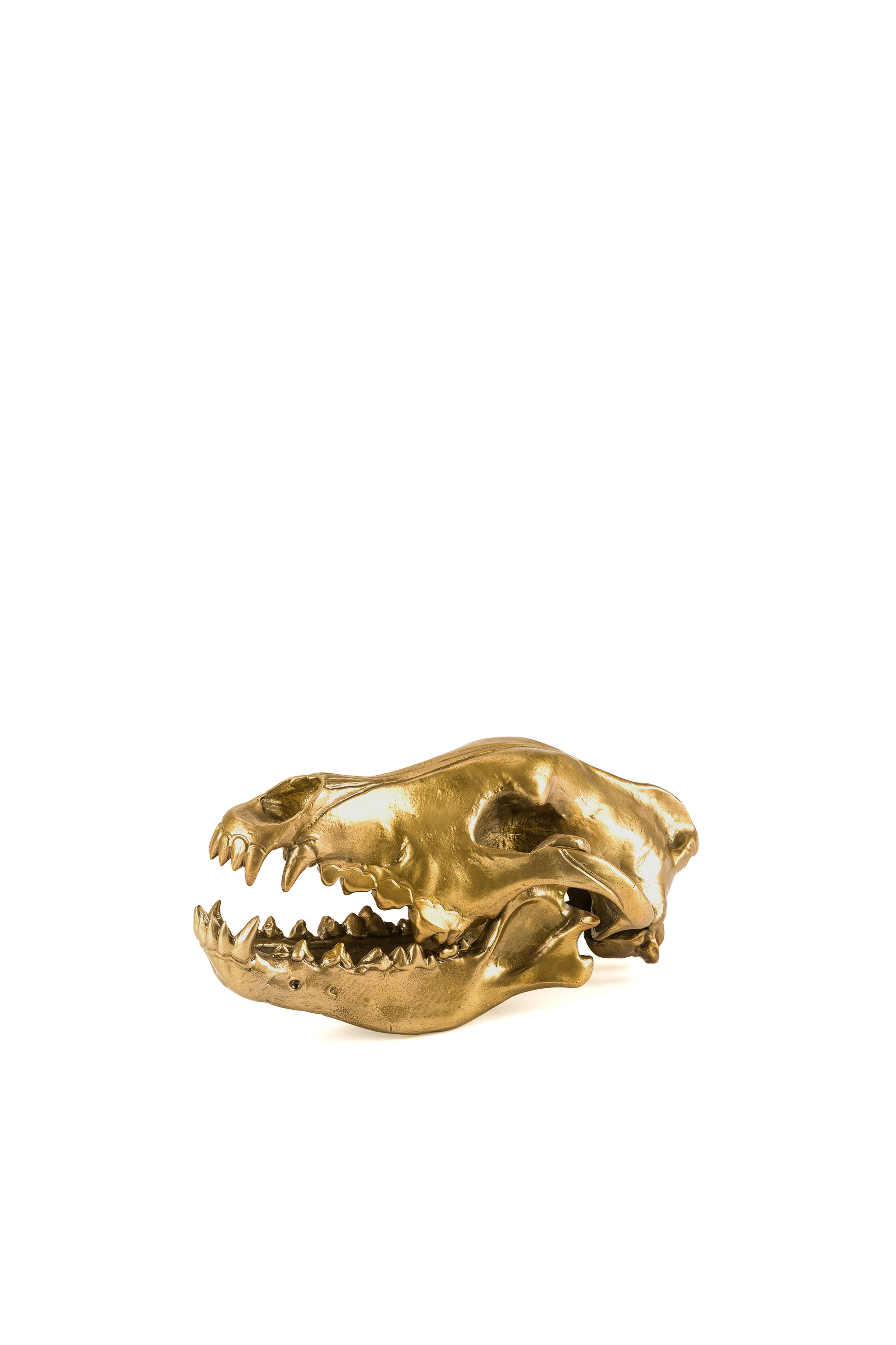 Diesel - 10892 Wunderkammer, Gold - Image 3