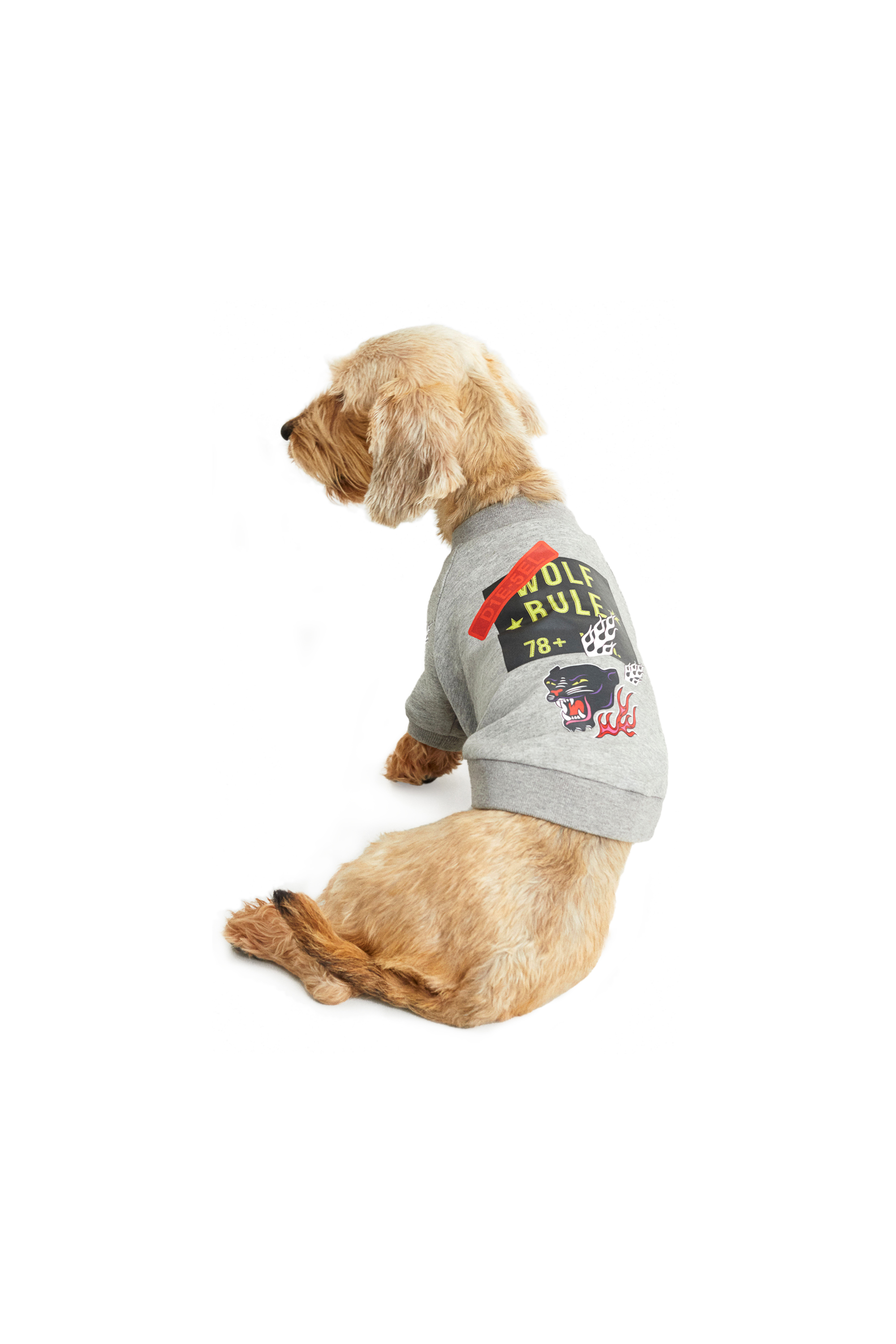Diesel - PET-WOLF-GRY, Grey - Image 3