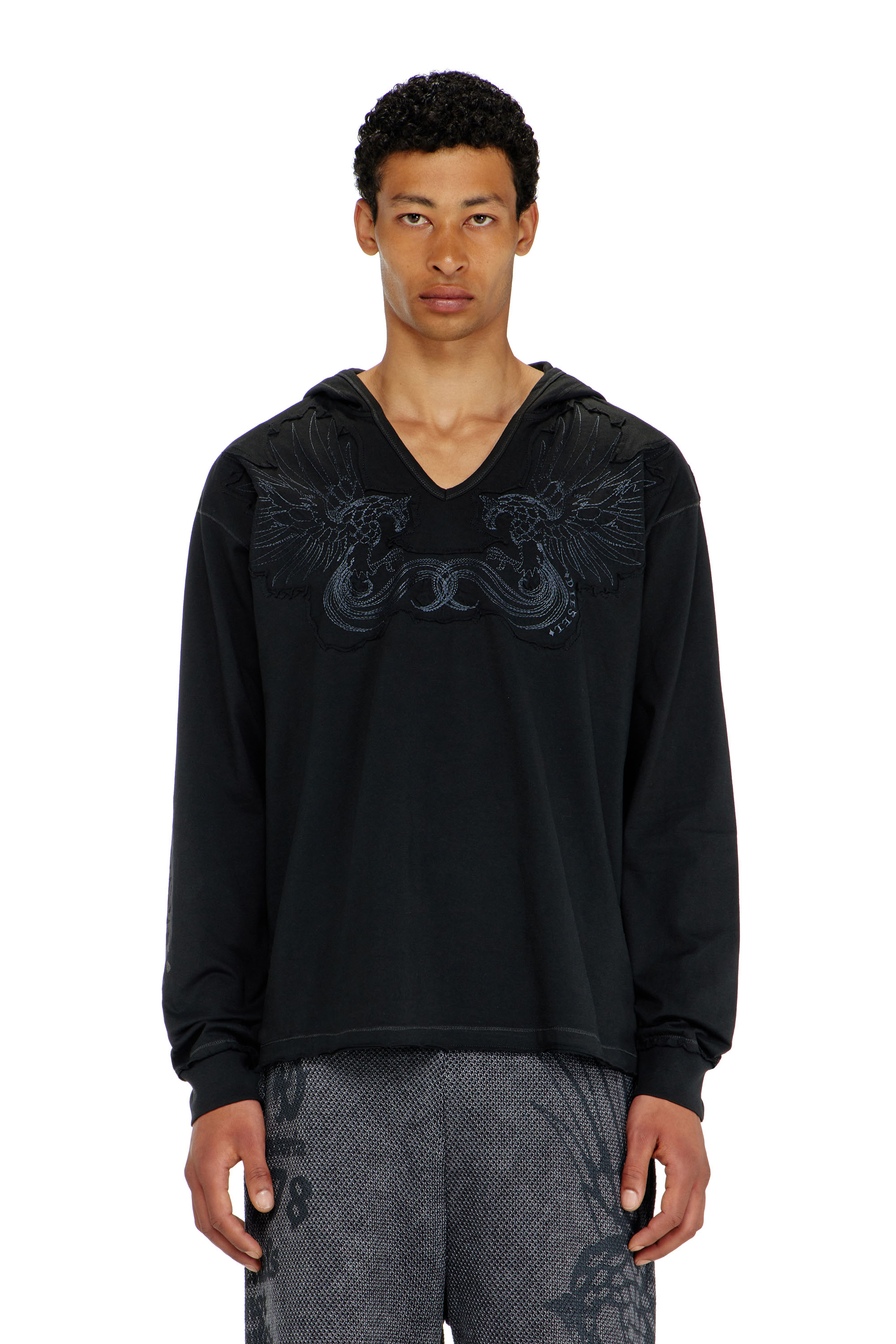 Diesel - T-PHEN-LS-HOOD-RIB, Man's Hoodie with V-neck and embroidered front in Black - 1